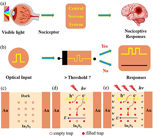 Innotrics Part Intrinsic vacancy in 2D defective semiconductor In2S3 for artificial ...