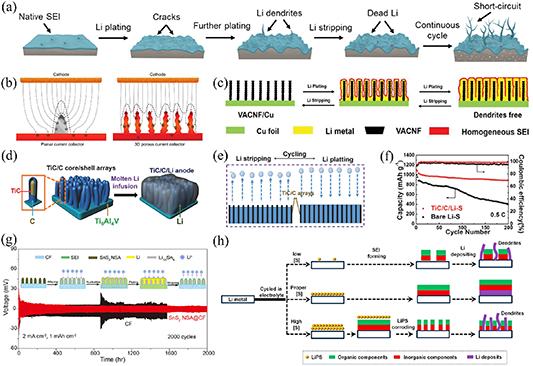 Nanoarray Rational design of nanoarray structures for lithium–sulfur batteries ...