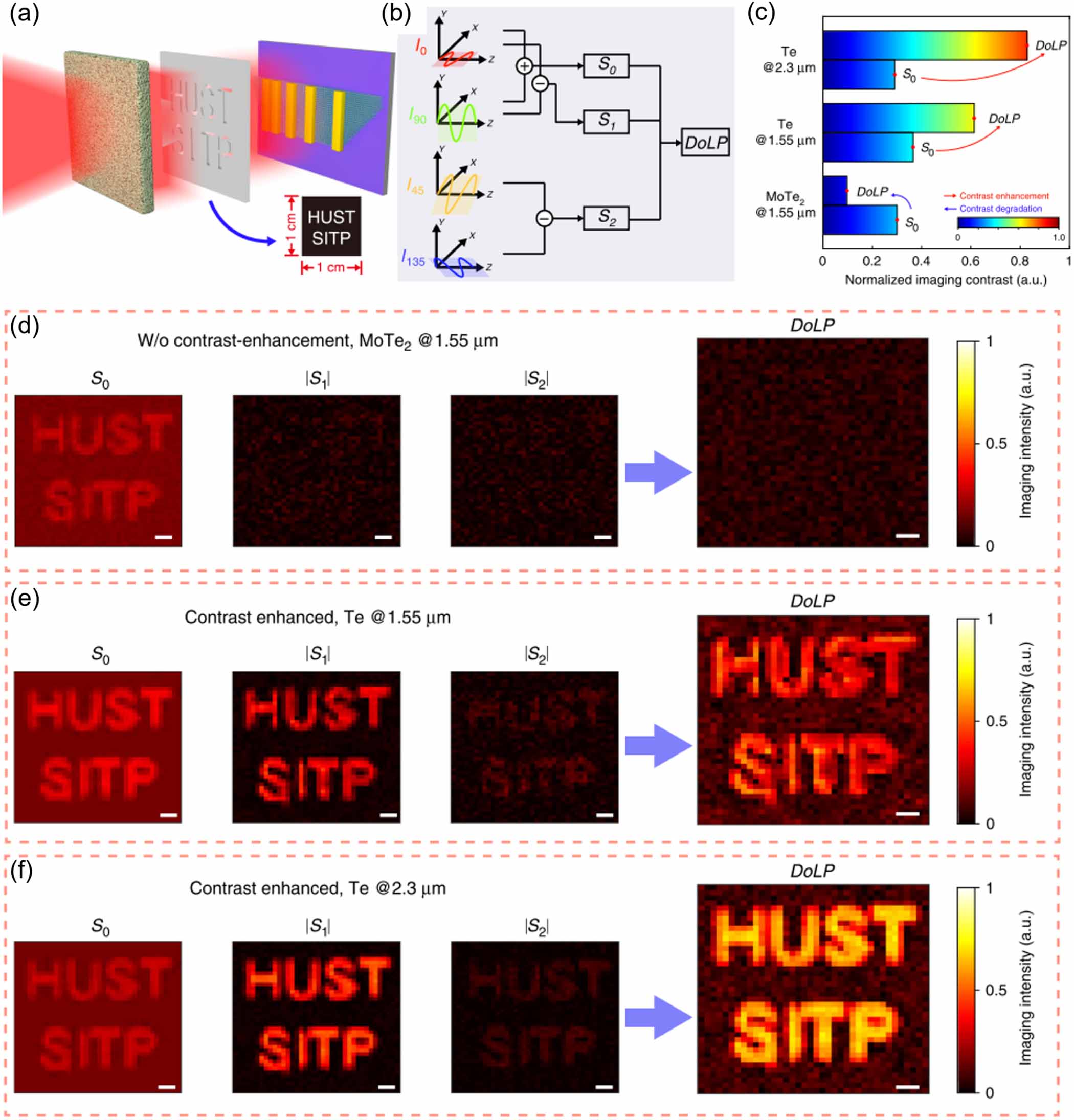 Low-dimensional van der Waals materials for linear-polarization