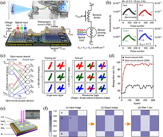 Emerging multimodal memristors for biorealistic neuromorphic ...