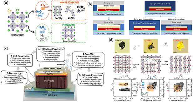 Annual research review of perovskite solar cells in 2023 - IOPscience