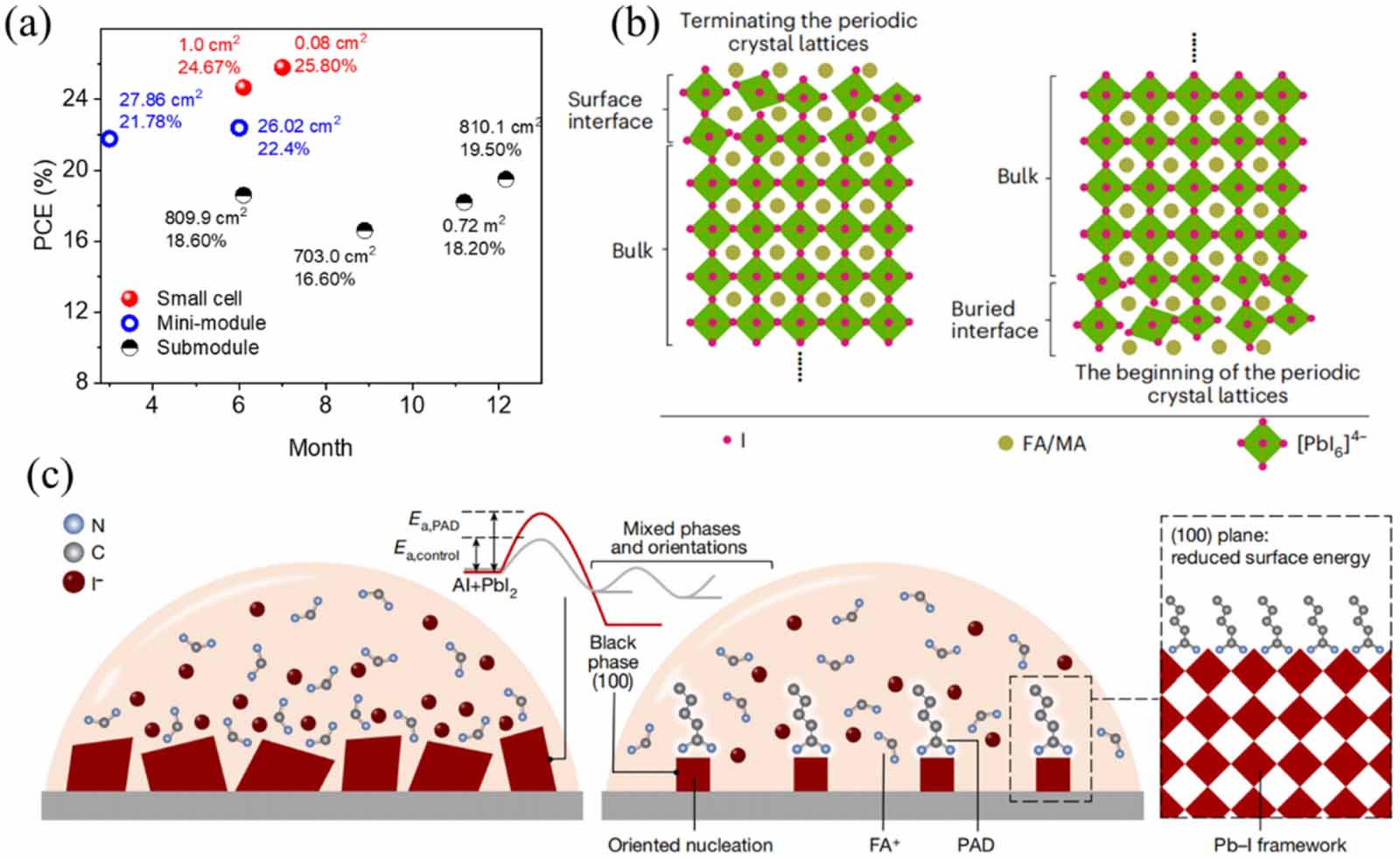 Annual research review of perovskite solar cells in 2023 - IOPscience