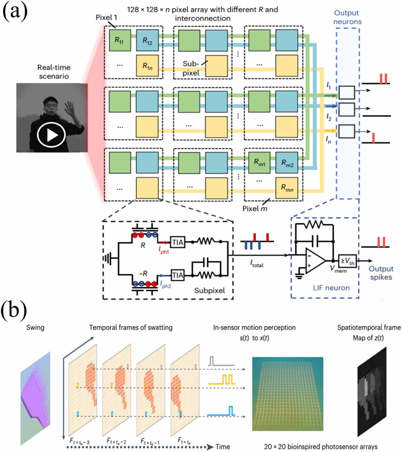 Scalable electronic and optoelectronic devices based on 2D TMDs ...