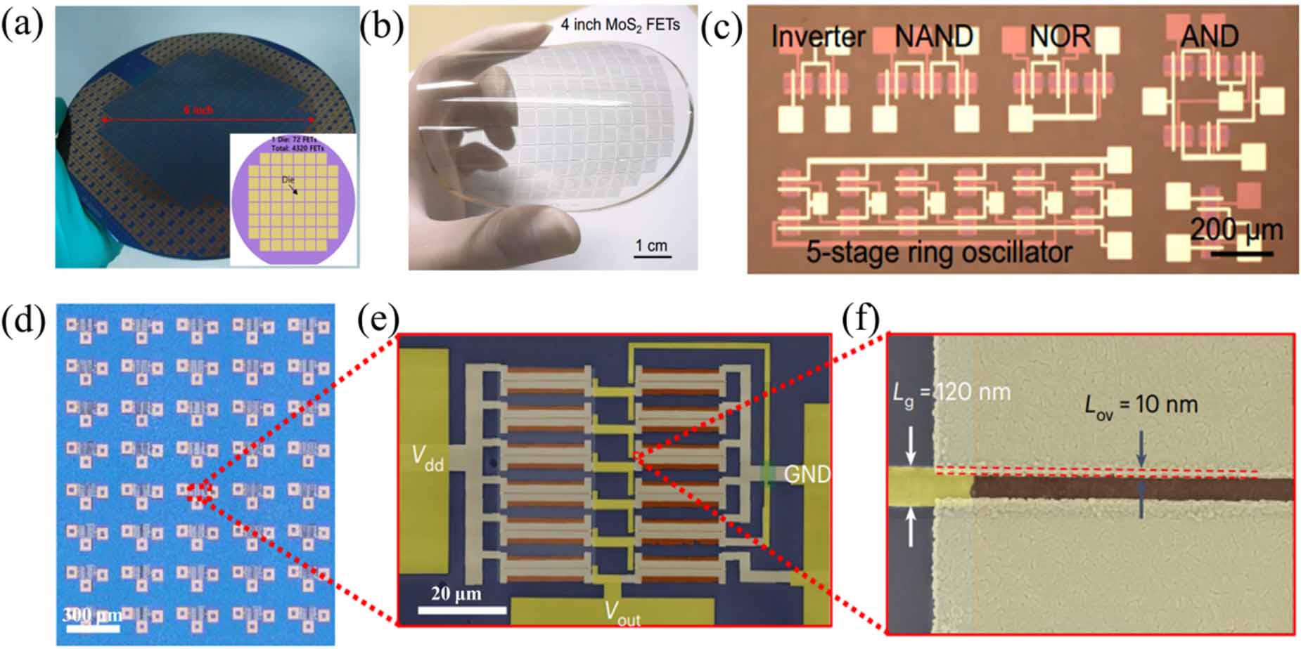 Scalable electronic and optoelectronic devices based on 2D TMDs ...