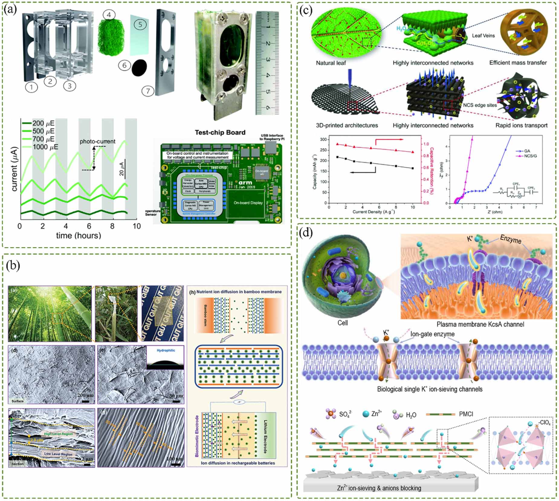 Plant-inspired surfaces and interfaces for sustainable technologies ...