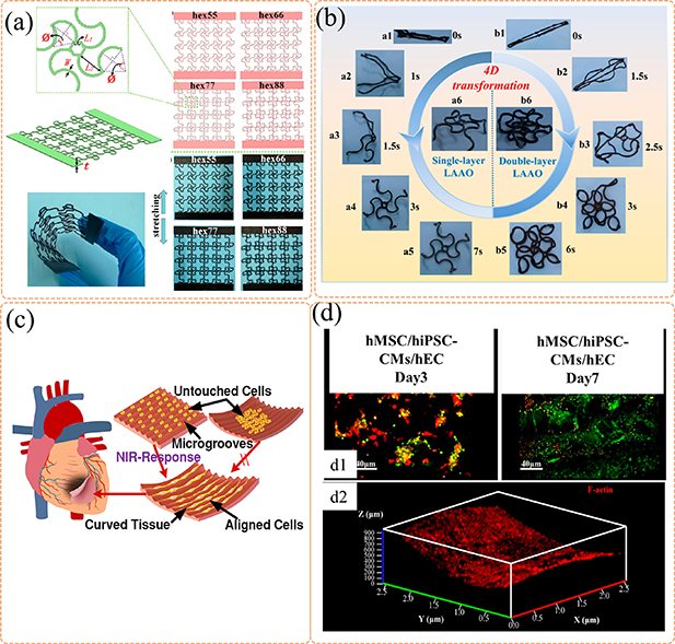 Dynamically customizable 4D printed shape memory polymer biomedical ...