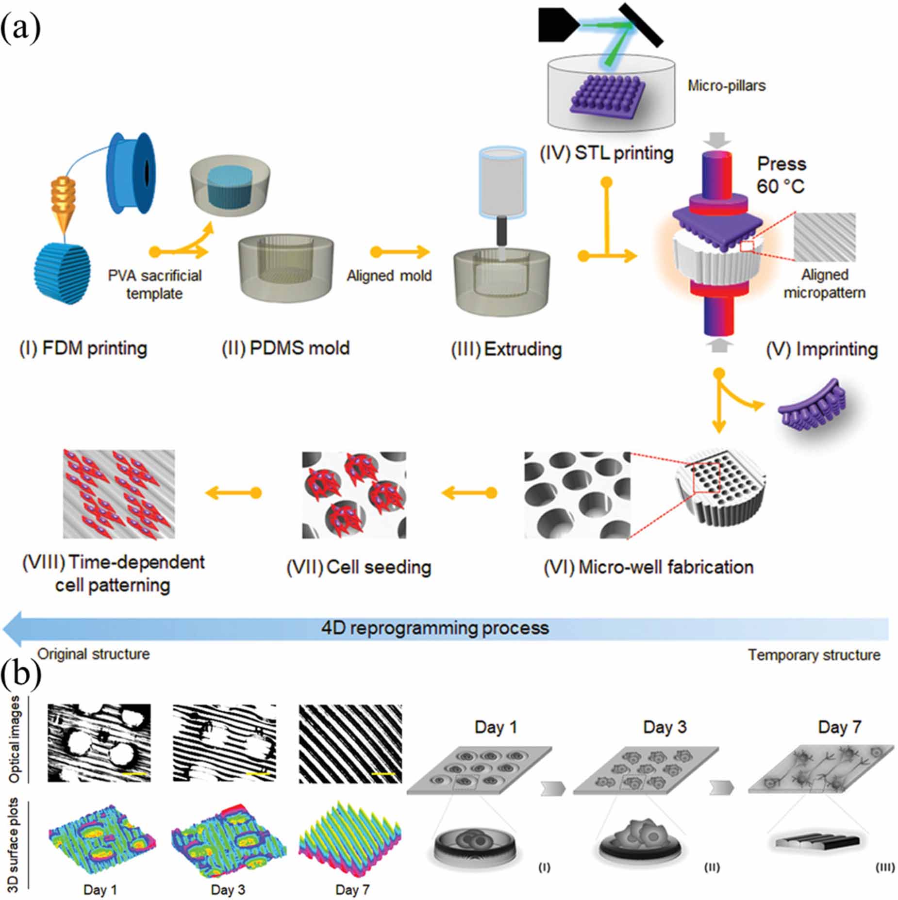 Dynamically customizable 4D printed shape memory polymer biomedical ...