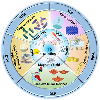 Dynamically customizable 4D printed shape memory polymer biomedical ...