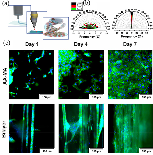 Dynamically customizable 4D printed shape memory polymer biomedical ...