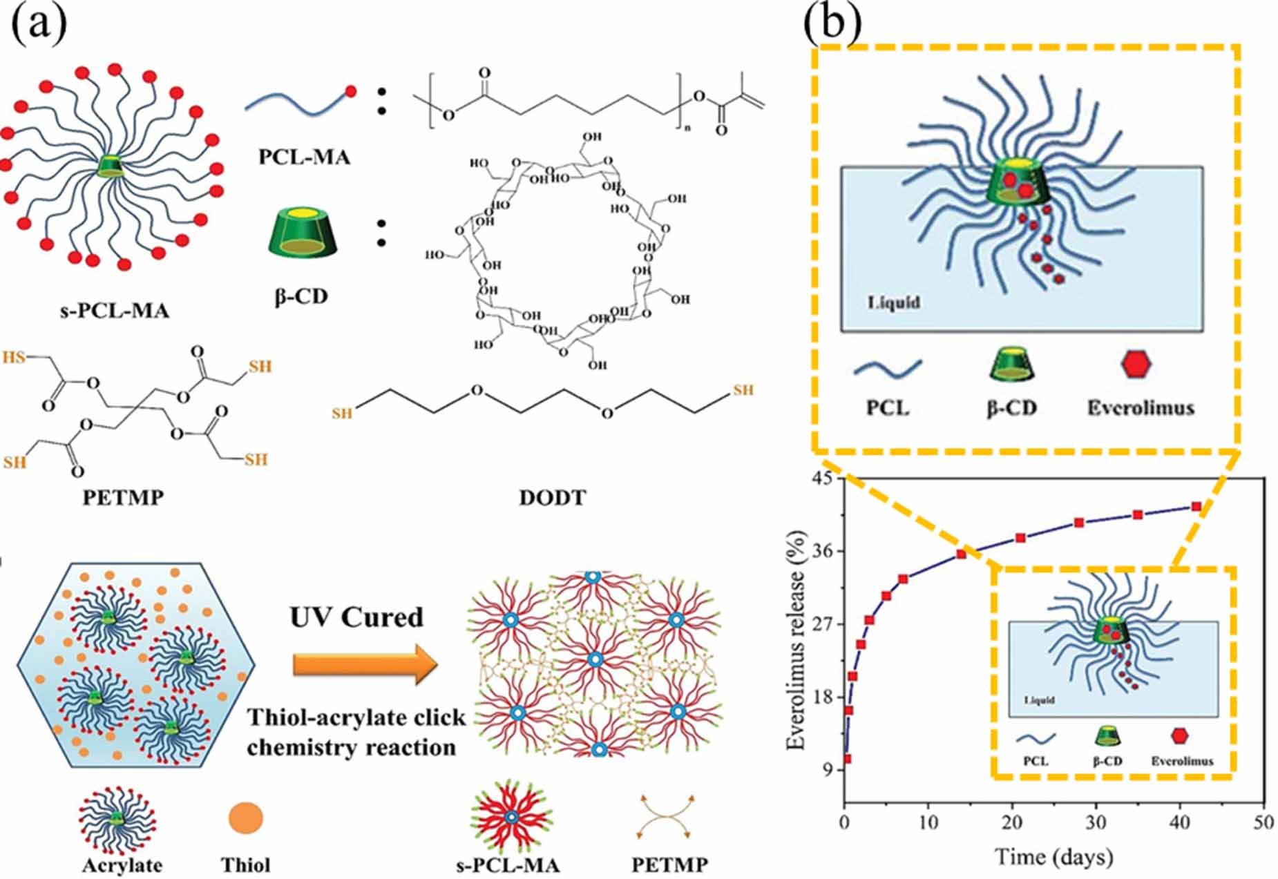 Dynamically customizable 4D printed shape memory polymer biomedical ...
