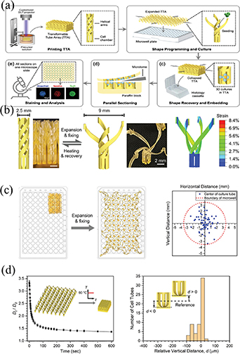 Dynamically customizable 4D printed shape memory polymer biomedical ...