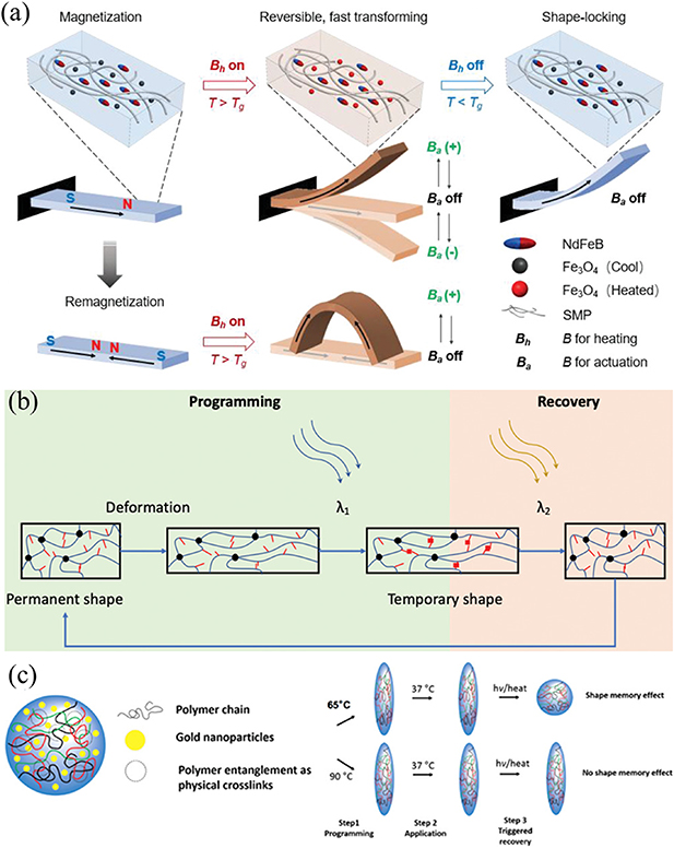 Dynamically customizable 4D printed shape memory polymer biomedical ...