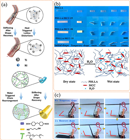 Dynamically customizable 4D printed shape memory polymer biomedical ...
