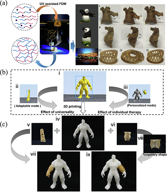 Dynamically customizable 4D printed shape memory polymer biomedical ...