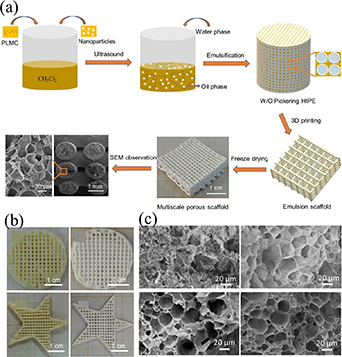 Dynamically customizable 4D printed shape memory polymer biomedical ...