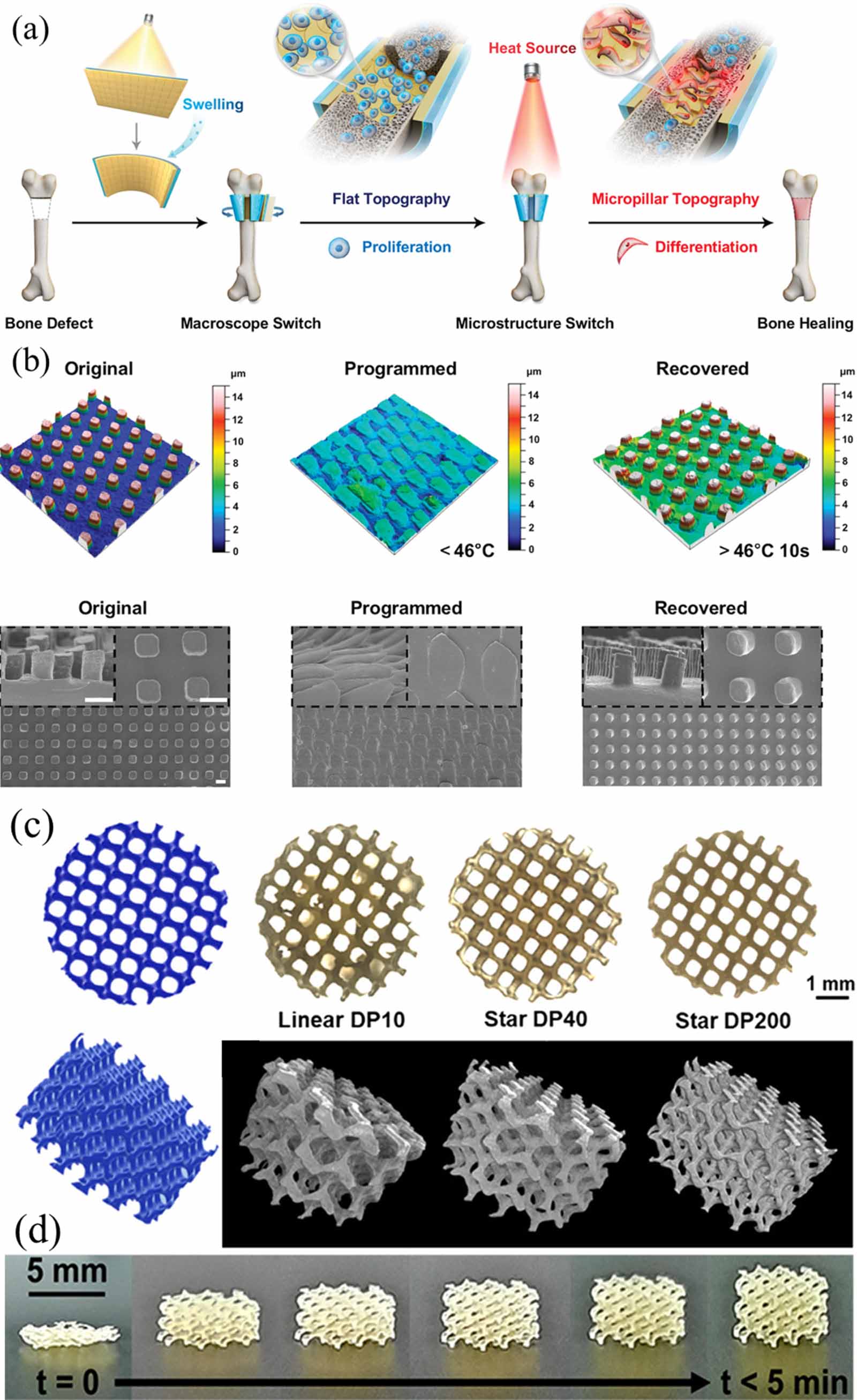 Dynamically customizable 4D printed shape memory polymer biomedical ...