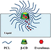 Dynamically customizable 4D printed shape memory polymer biomedical ...