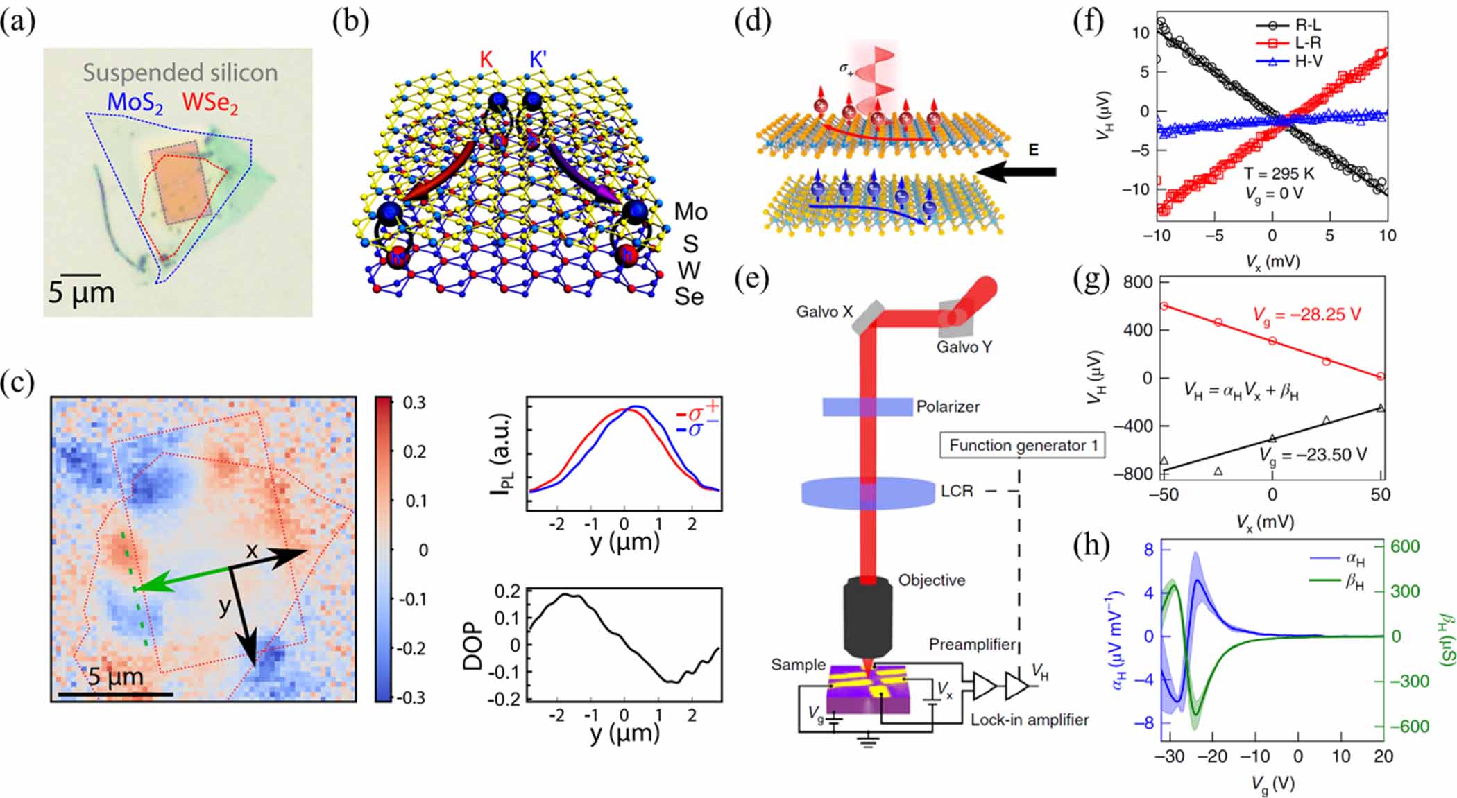 Interlayer excitons diffusion and transport in van der Waals ...