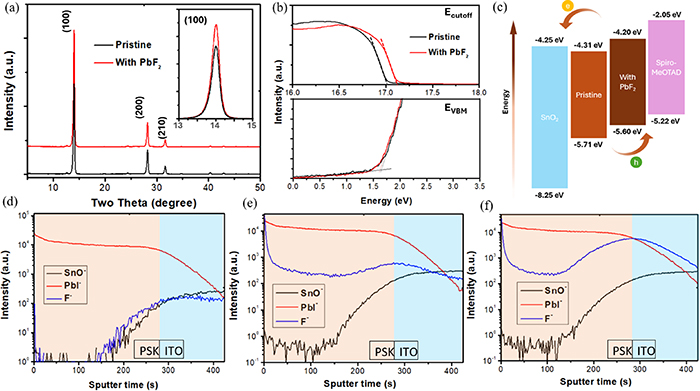 Figure 2. Refer to the following caption and surrounding text.