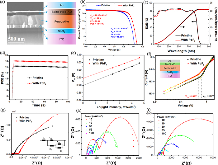 Figure 4. Refer to the following caption and surrounding text.