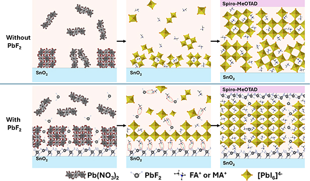 Figure 6. Refer to the following caption and surrounding text.