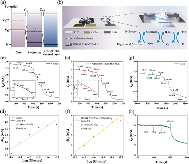 MOF-MoS2 nanosheets doped PEDOT:PSS for organic electrochemical ...