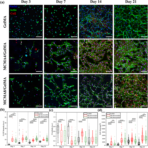 An integrated hybrid 3D bioprinting of heterogeneous and zone-specific ...