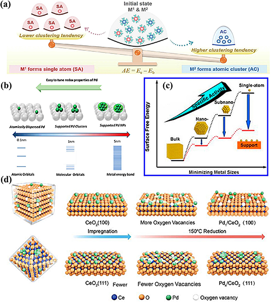 Synergistic catalytic mechanism and performance regulation strategies ...