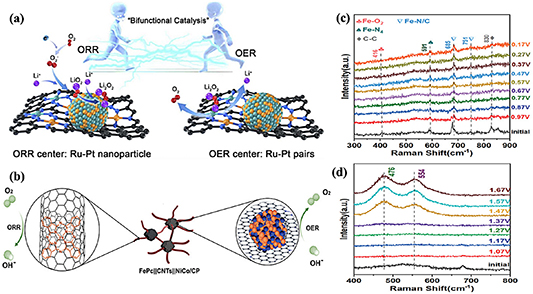 Synergistic catalytic mechanism and performance regulation strategies ...