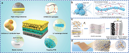 Solid polymer electrolytes: ion conduction enhancement and ...