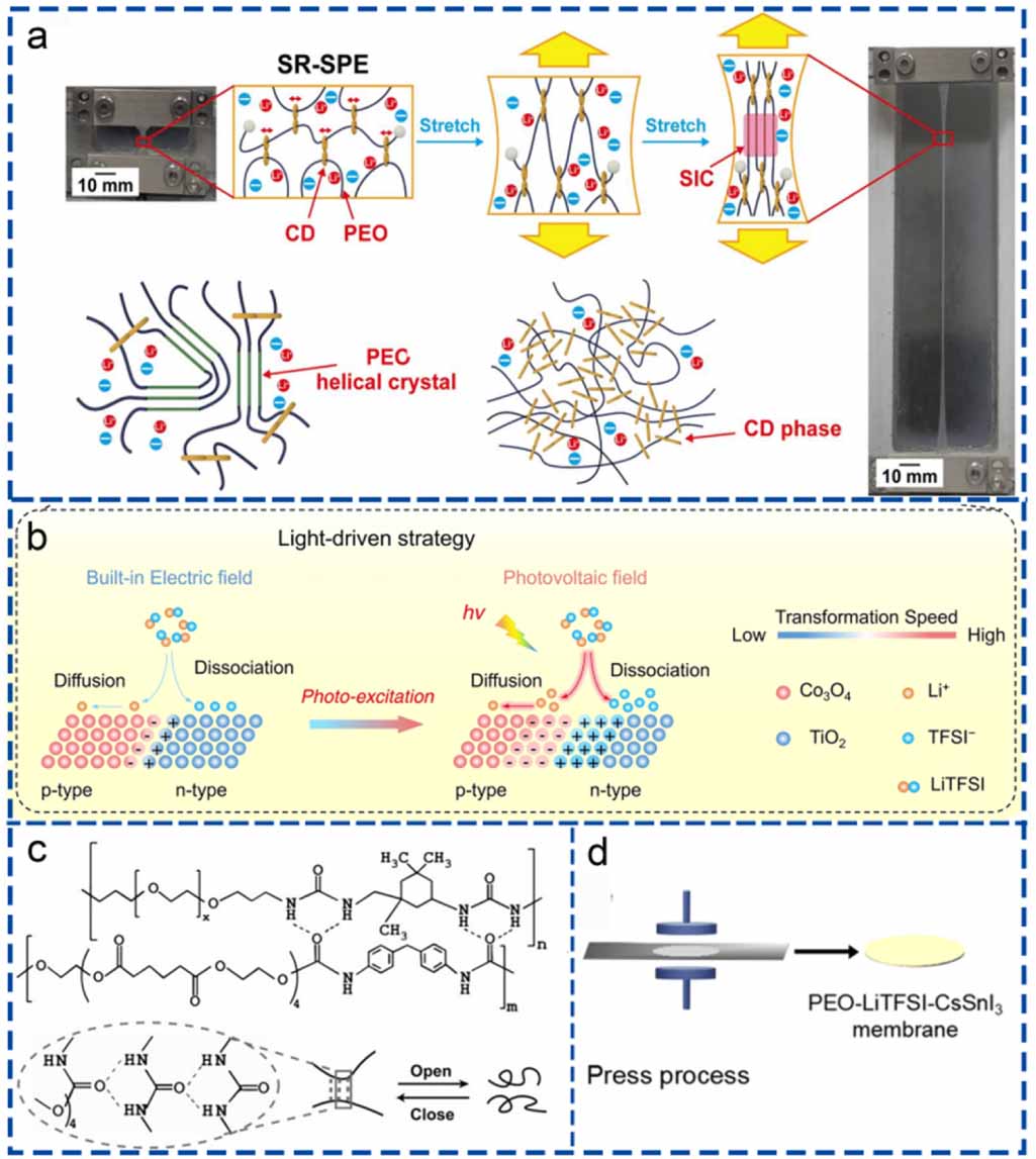 Solid polymer electrolytes: ion conduction enhancement and ...