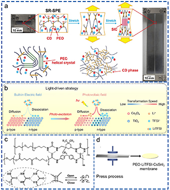 Solid polymer electrolytes: ion conduction enhancement and ...