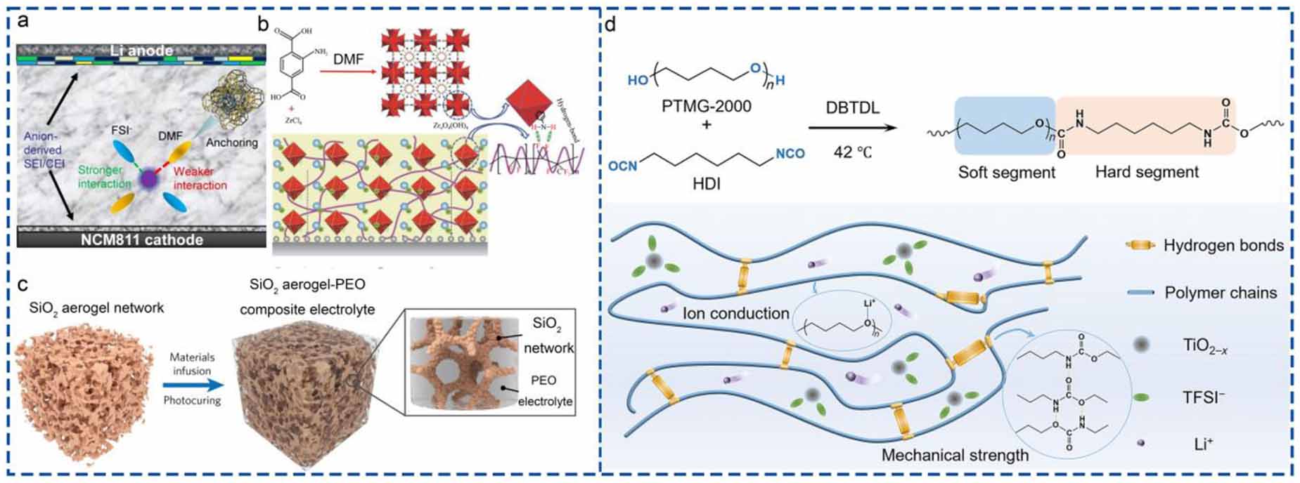 Solid polymer electrolytes: ion conduction enhancement and ...