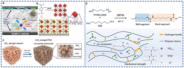 Solid polymer electrolytes: ion conduction enhancement and ...