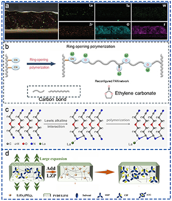 Solid polymer electrolytes: ion conduction enhancement and ...