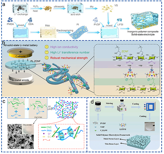 Solid polymer electrolytes: ion conduction enhancement and ...