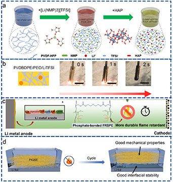 Solid polymer electrolytes: ion conduction enhancement and ...