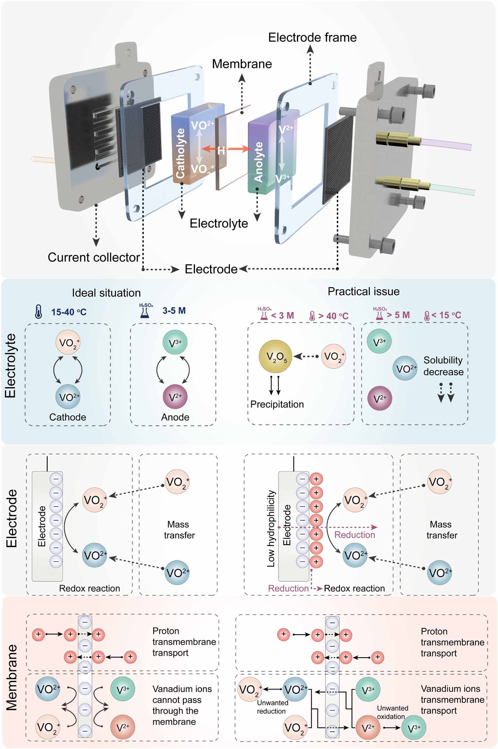 Biomass-derived materials for advanced vanadium redox flow