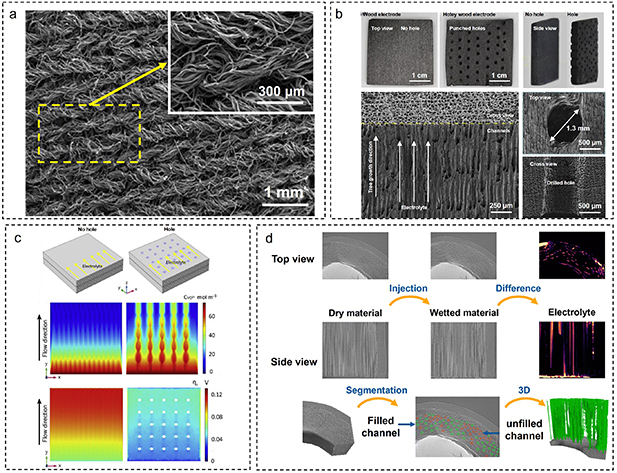 Biomass-derived materials for advanced vanadium redox flow