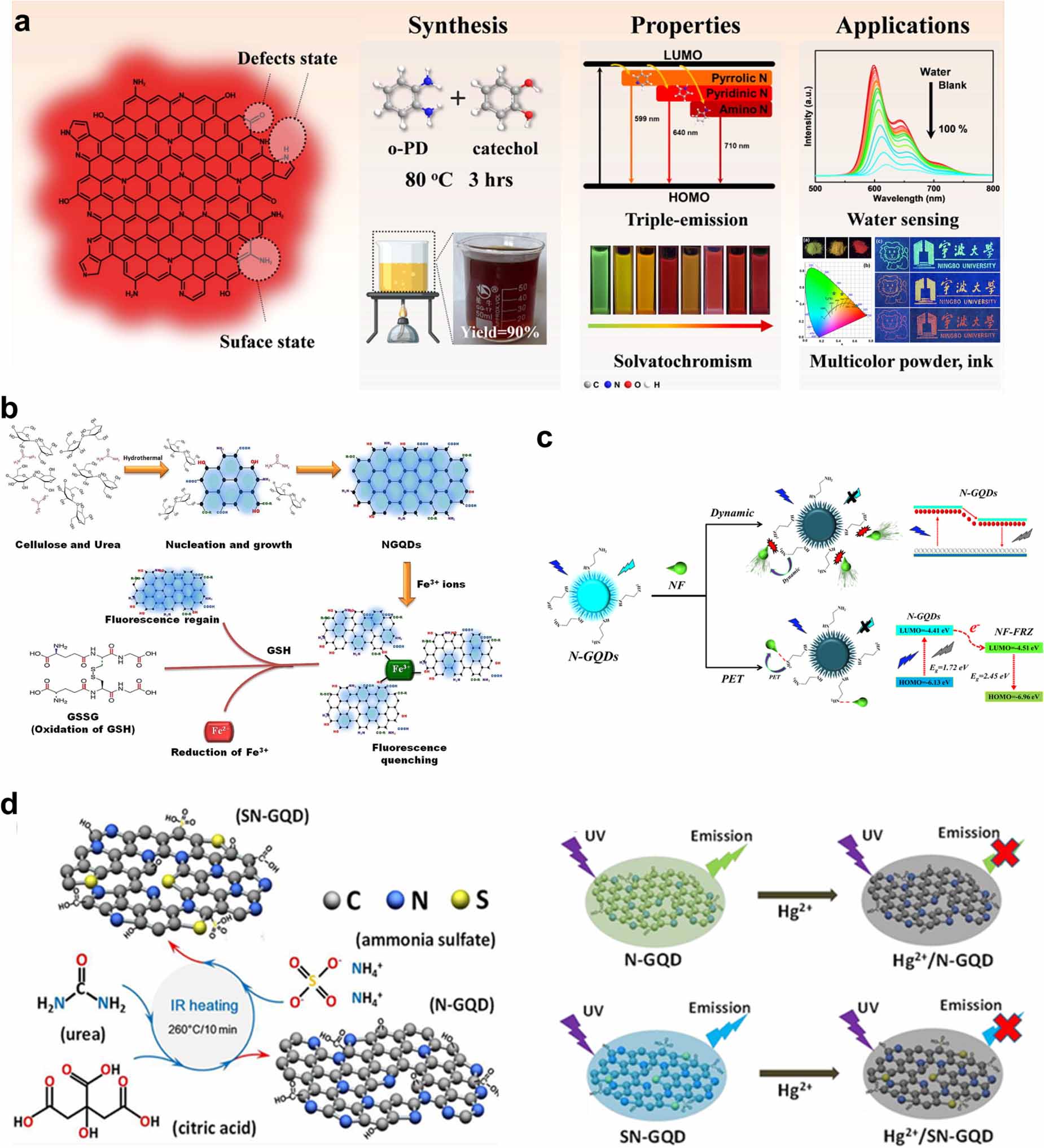 Harnessing the potential of graphene quantum dots in emerging ...