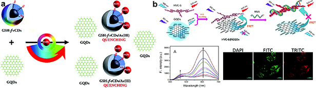 Harnessing the potential of graphene quantum dots in emerging ...