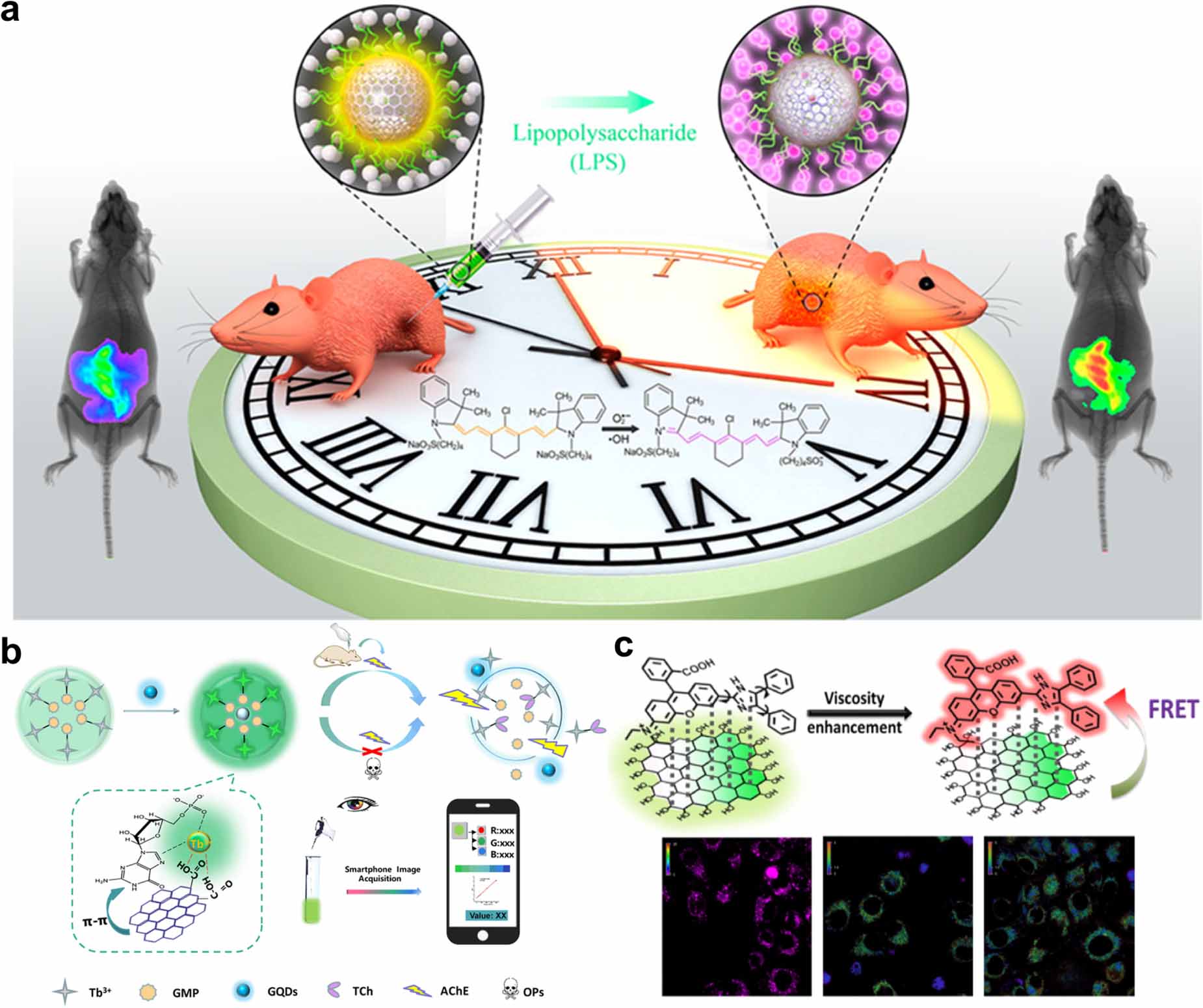 Harnessing the potential of graphene quantum dots in emerging ...