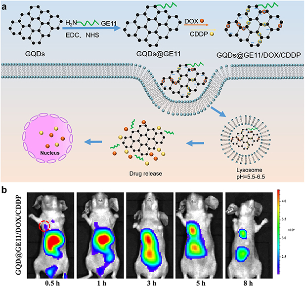 Harnessing the potential of graphene quantum dots in emerging ...