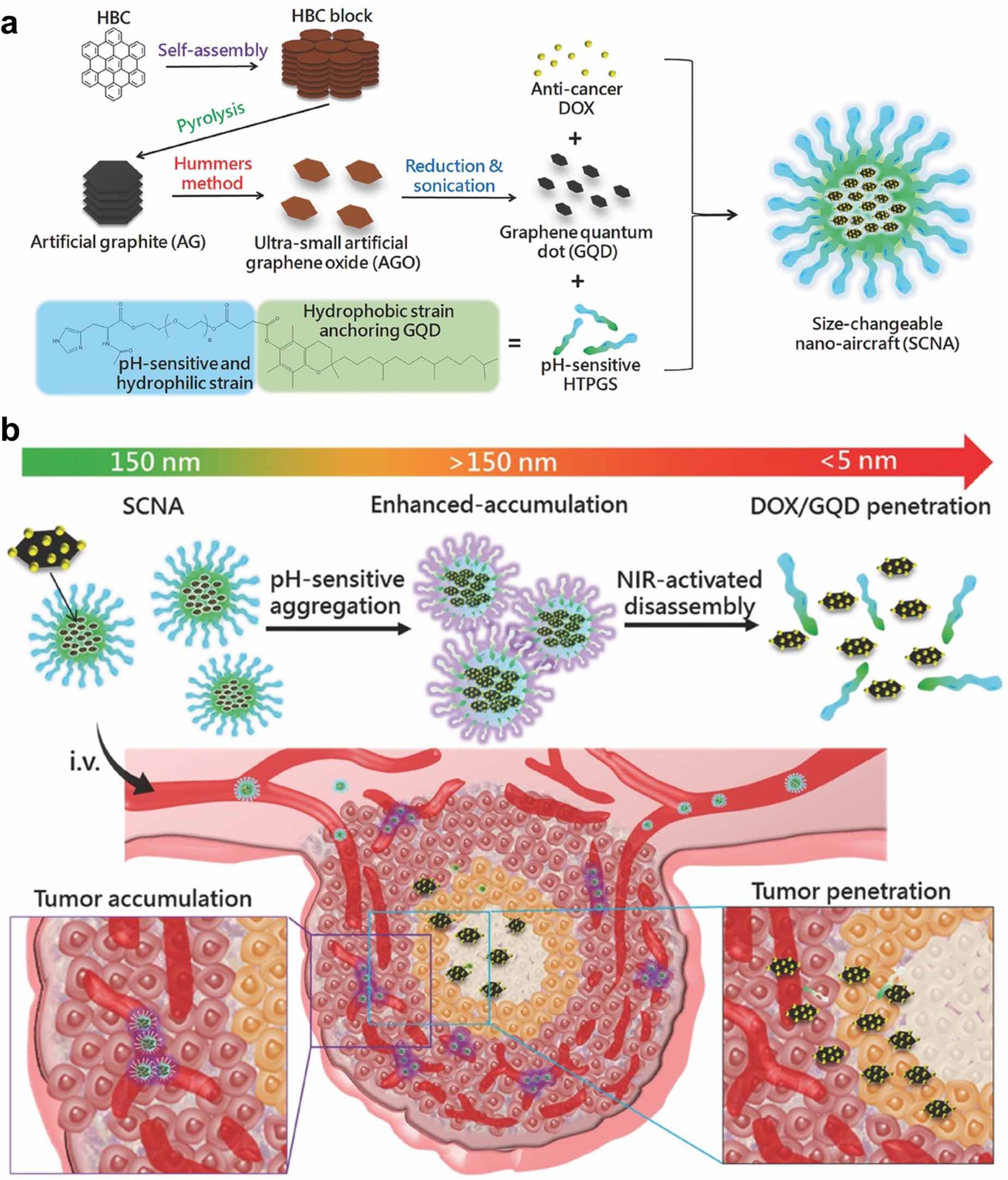 Harnessing the potential of graphene quantum dots in emerging ...