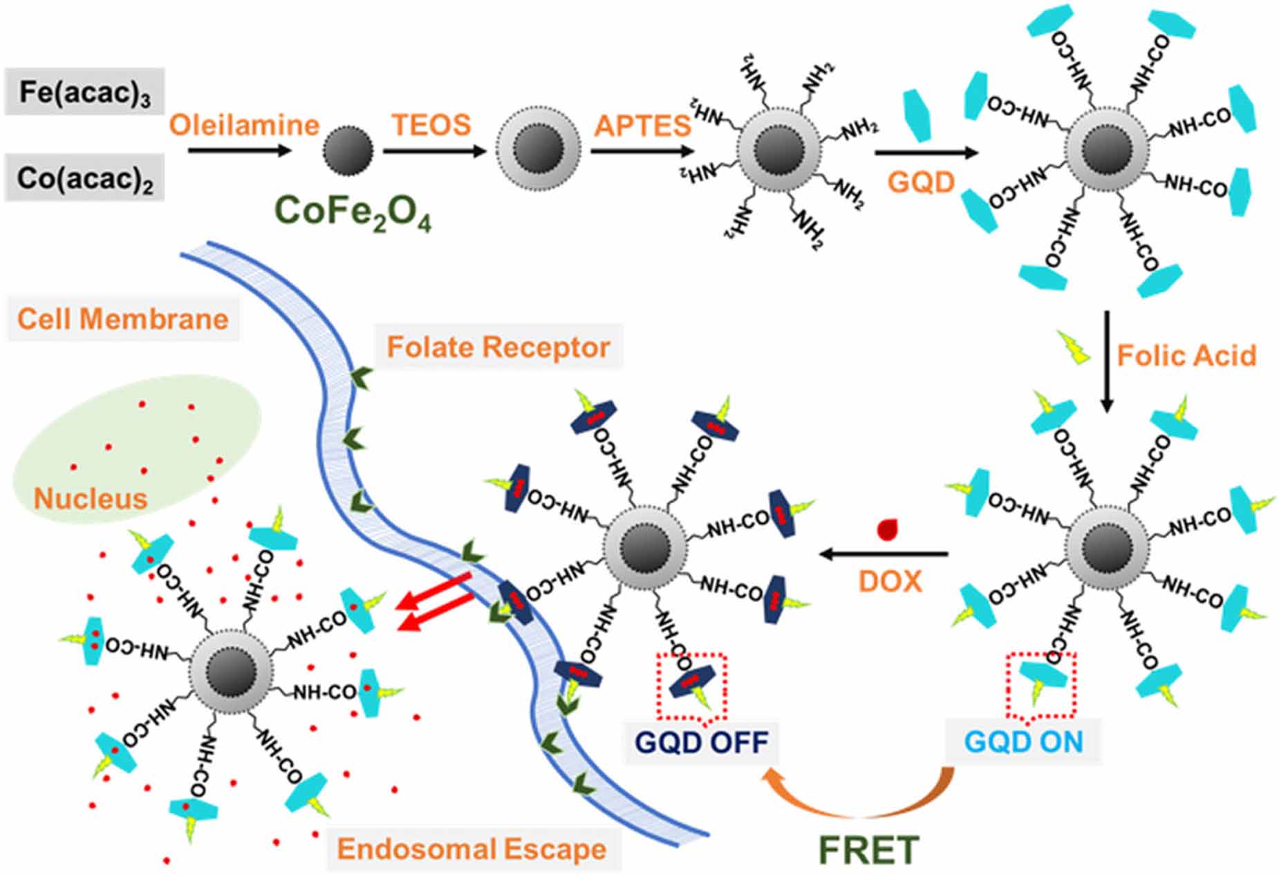 Harnessing the potential of graphene quantum dots in emerging ...