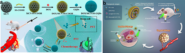 Harnessing the potential of graphene quantum dots in emerging ...