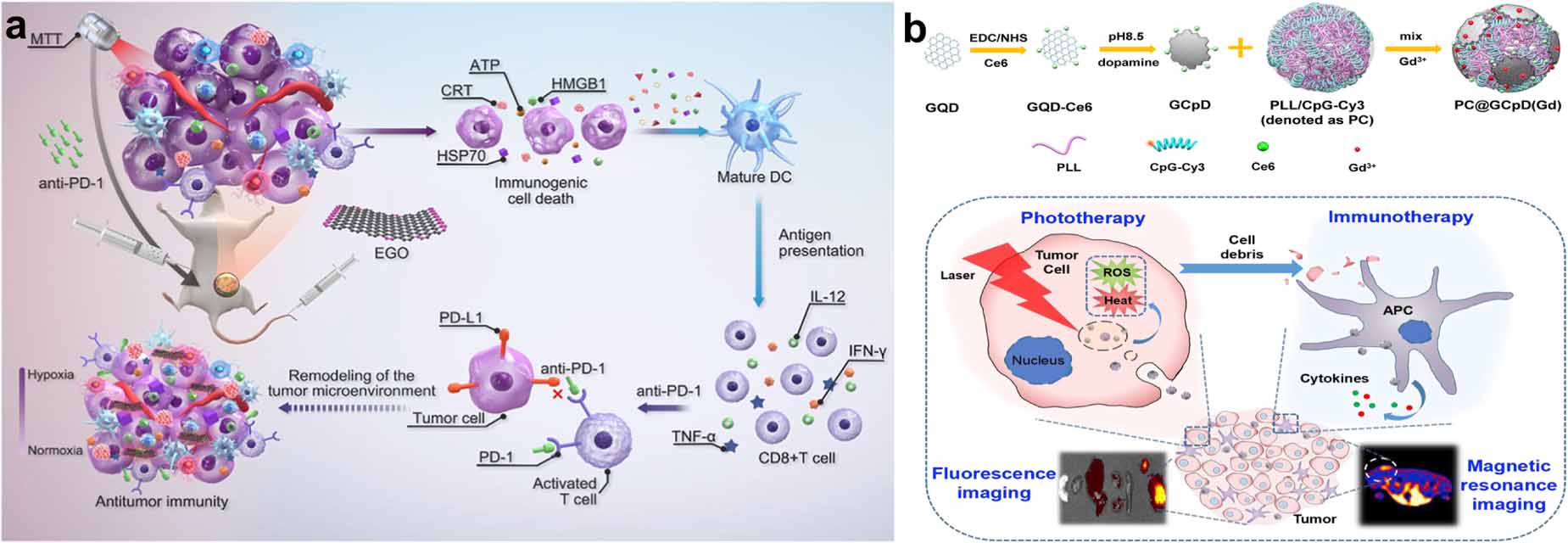 Harnessing the potential of graphene quantum dots in emerging ...