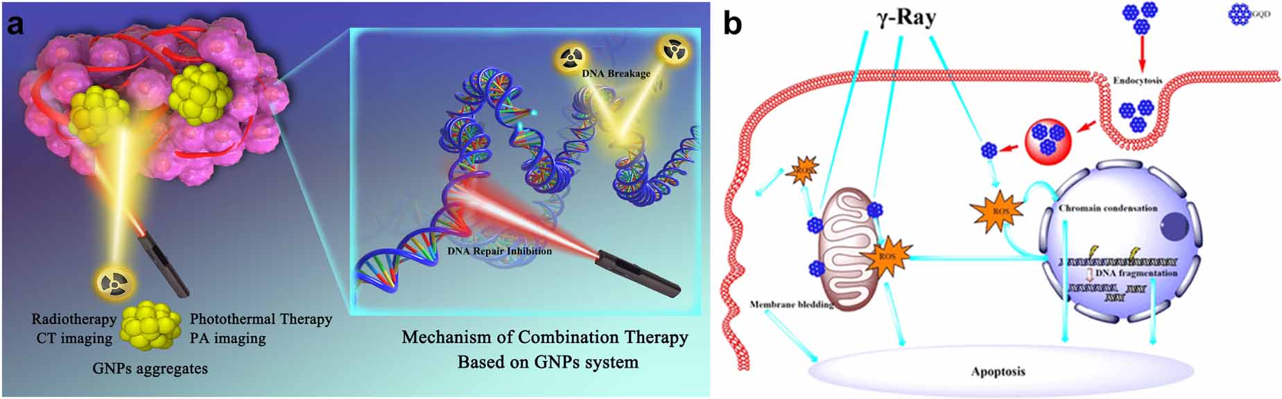 Harnessing the potential of graphene quantum dots in emerging ...