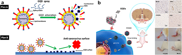 Harnessing the potential of graphene quantum dots in emerging ...