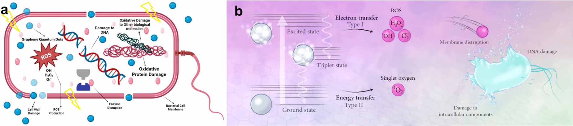 Harnessing the potential of graphene quantum dots in emerging ...